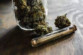 Goji OG Blunt