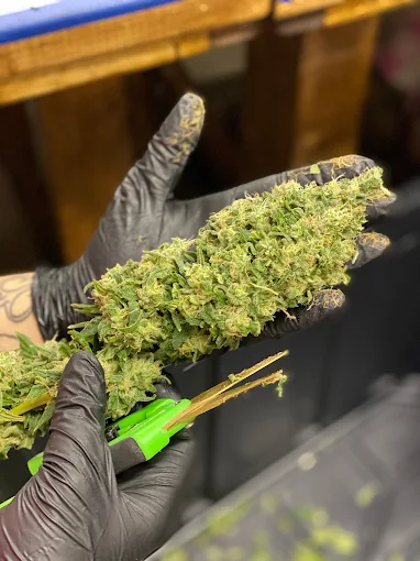 Blood Diamond (Ounce)